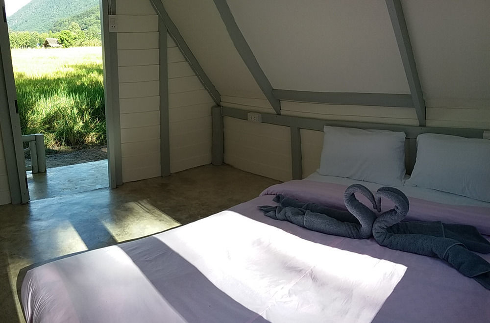 Paitopia Buitenkant foto