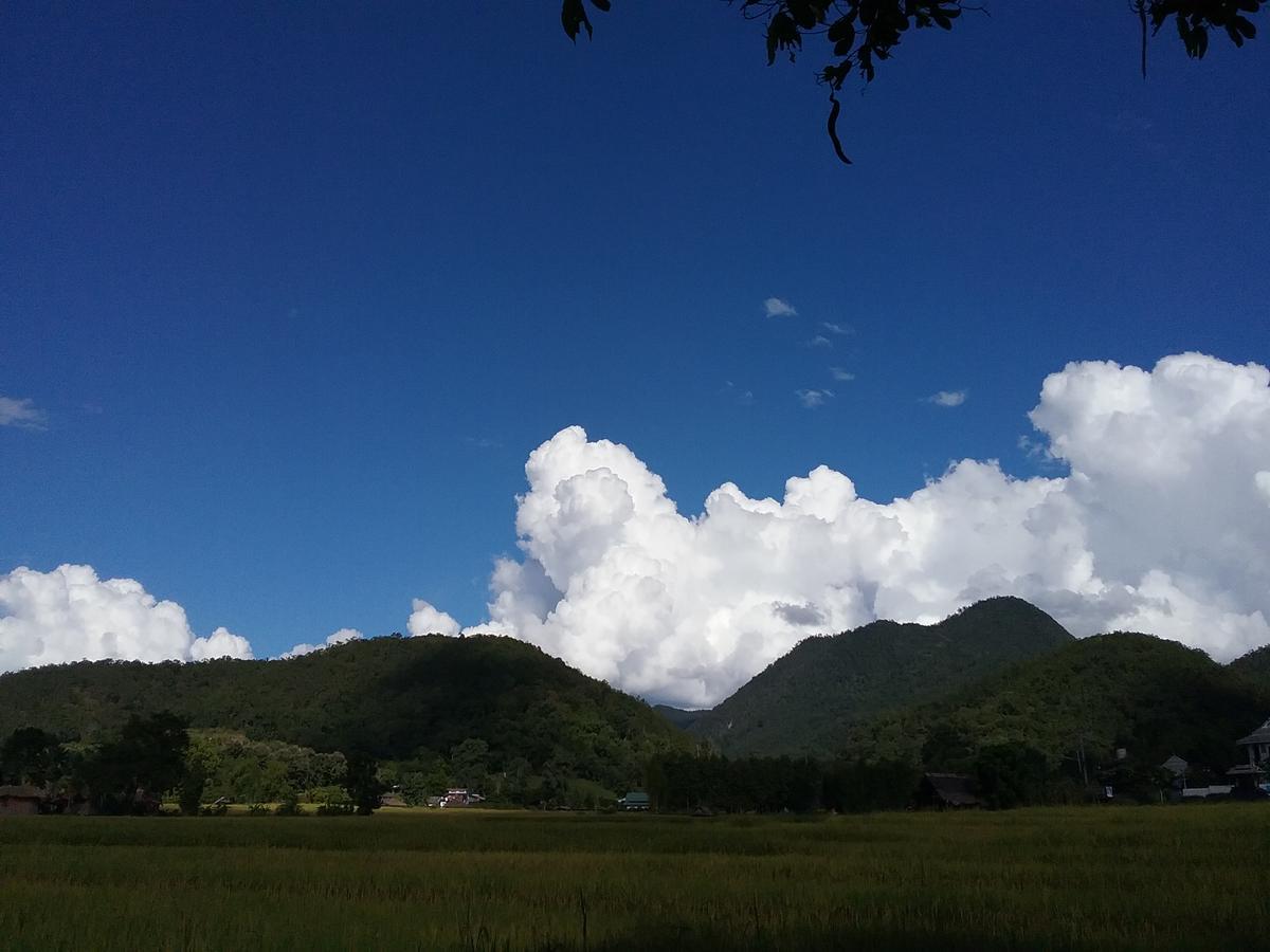 Paitopia Buitenkant foto